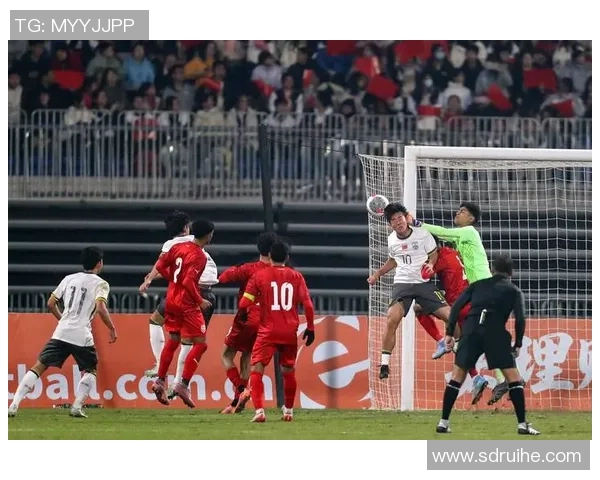 中国男篮对阵巴林队精彩对决乐视体育全程直播助力球迷畅享比赛盛宴