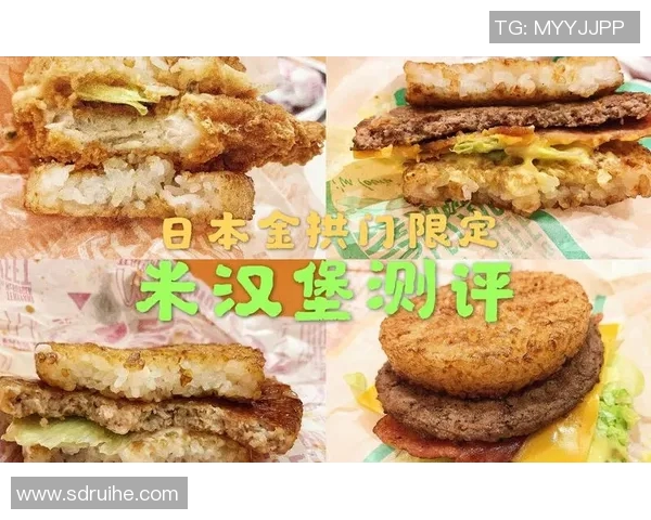 汉堡与奥斯纳的激烈对决谁能笑到最后揭晓精彩战局分析