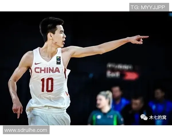 王哲林在篮球赛场上的崛起与挑战解析，展望未来的职业生涯发展路径