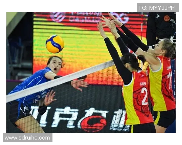 深度对话王伟排球人生的奋斗与荣耀之路