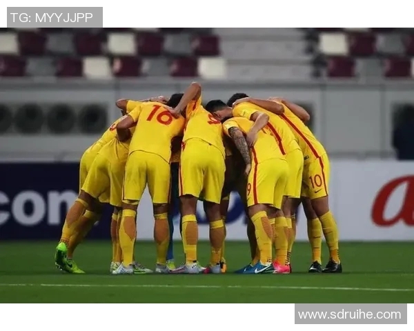 马尔代夫与菲律宾精彩对决视频回顾，尽享足球盛宴与激情瞬间