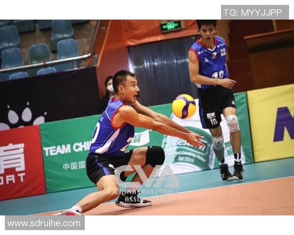 张静独家分享：从排球技巧到心态调整的全面心得体会